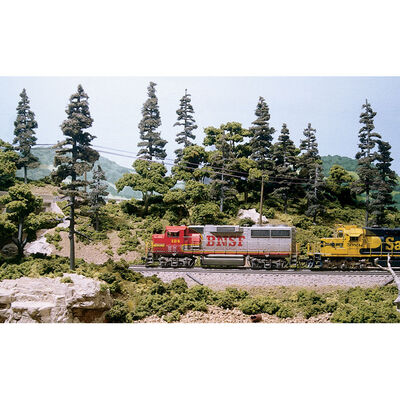 Trees Learning Kit Trees Learning Kit