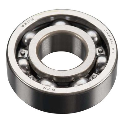 Rear Bearing: GT60 Rear Bearing: GT60
