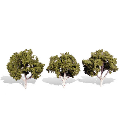 Classics Tree, Waters Edge 3-4" (3) Classics Tree, Waters Edge 3-4" (3)