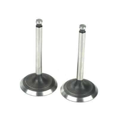 Valve (In & Out)Pair:AD,AE Valve (In & Out)Pair:AD,AE