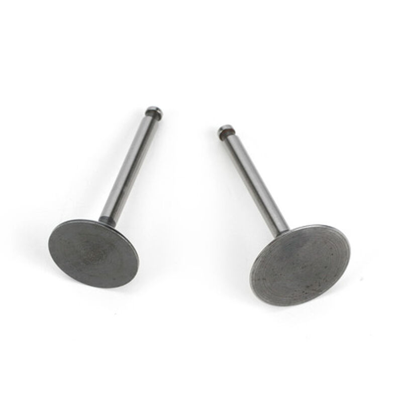 Valve (In & Out) Pair: FG-36: AK, BP