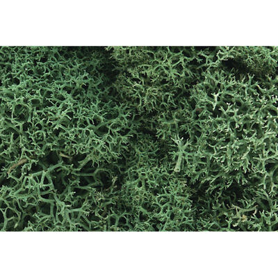 Lichen Bag, Light Green/82 cu. in. Lichen Bag, Light Green/82 cu. in.