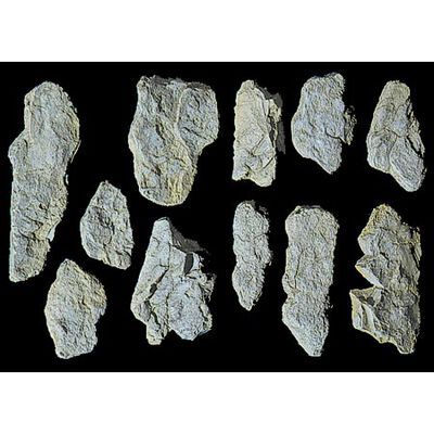 Rock Mold, Surface Rocks Rock Mold, Surface Rocks
