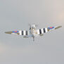 1/8 Spitfire Mk2 .46-.55 GP EP ARF 55"