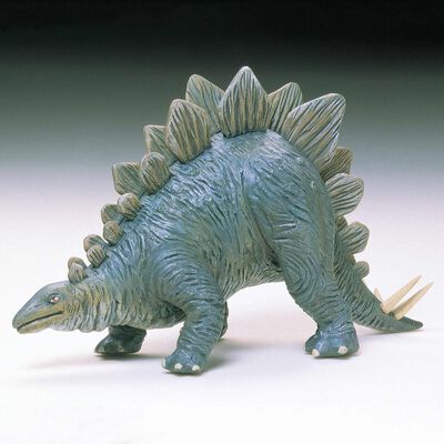 Stegosaurus Stenops Stegosaurus Stenops
