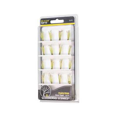 Brown Tipped Prairie Grass Brown Tipped Prairie Grass