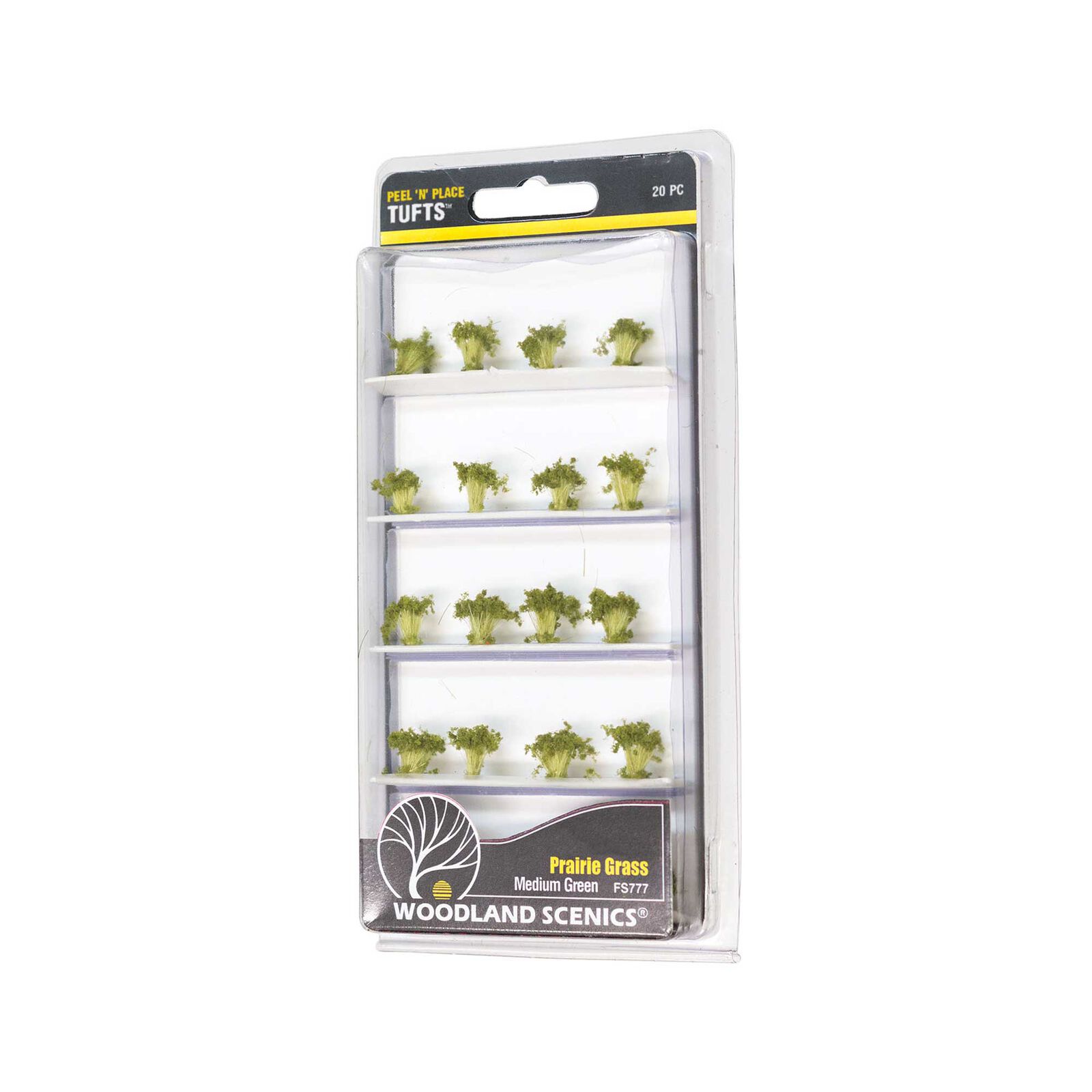 Medium Green Prairie Grass