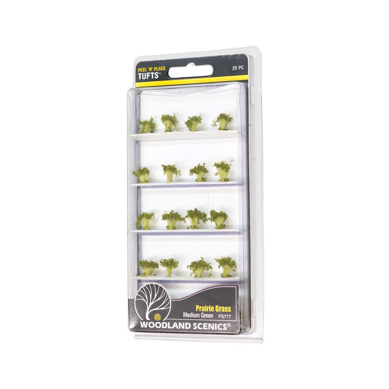 Medium Green Prairie Grass