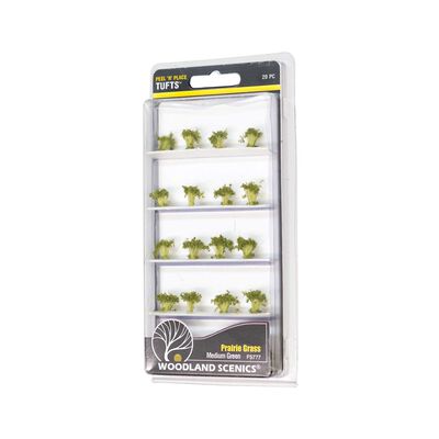 Medium Green Prairie Grass Medium Green Prairie Grass