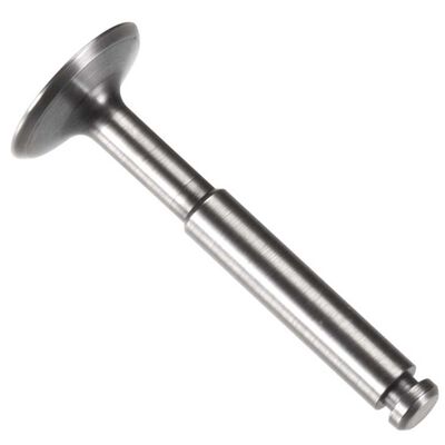 Exhaust Valve Assembly: 56 FS Exhaust Valve Assembly: 56 FS