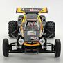 1/10 Hornet EVO 2WD Buggy Kit