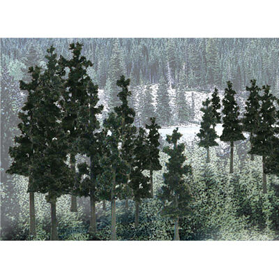 Value Trees, Conifer 2.25-4" (33) Value Trees, Conifer 2.25-4" (33)