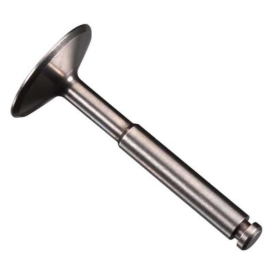 Valve: FS-95V Valve: FS-95V