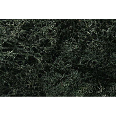 Lichen Bag, Dark Green/82 cu. in. Lichen Bag, Dark Green/82 cu. in.