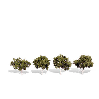 Classics Tree, Waters Edge 2-3" (4) Classics Tree, Waters Edge 2-3" (4)