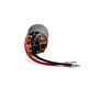 Firma 12T Rebuildable 550 3-Pole Brushed Motor