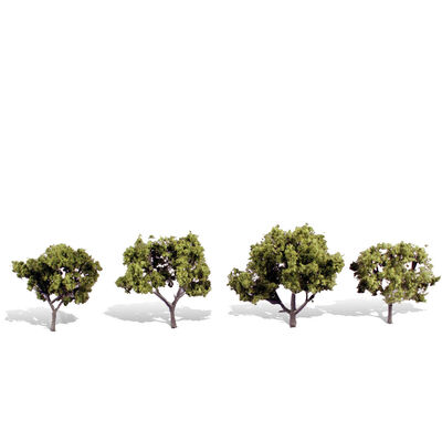 Classics Tree, Early Light 2-3" (4) Classics Tree, Early Light 2-3" (4)