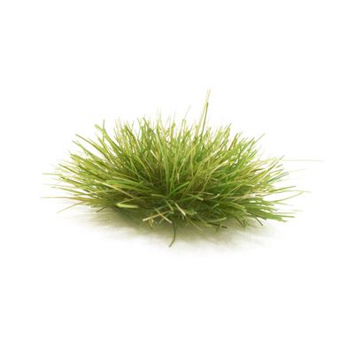 Dark Green Tufts Dark Green Tufts