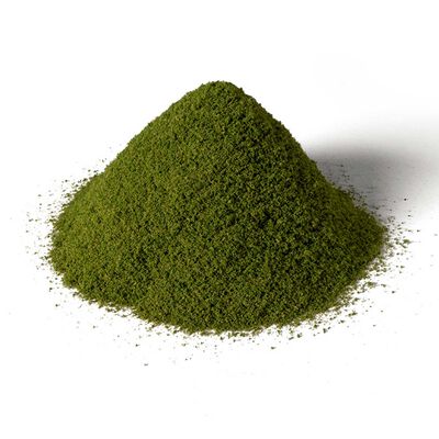 Summer Grass Summer Grass