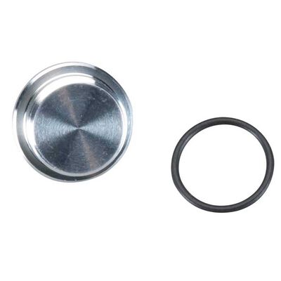 Crankcase Plug: GT55 Crankcase Plug: GT55