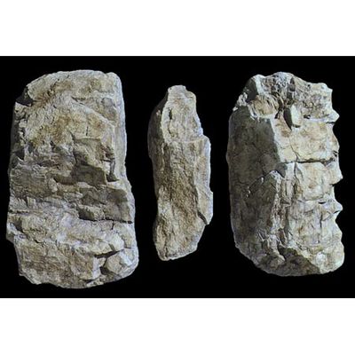 Rock Mold, Random Rock Rock Mold, Random Rock