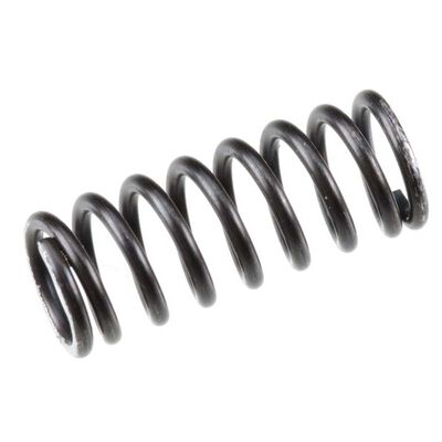 Valve Spring: FS155A-P Valve Spring: FS155A-P