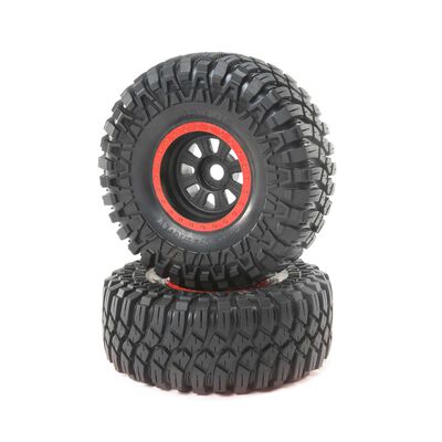 Maxxis CreepyCrawler LT Black Mounted( 2): SuperRockRey Maxxis CreepyCrawler LT Black Mounted( 2): SuperRockRey