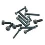 Screw Set (12): FS-120 Surpass