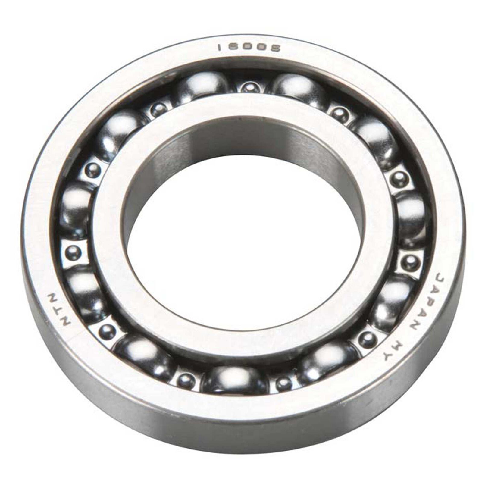 Rear Bearing: GT55