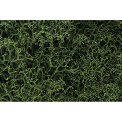 Lichen Bag, Medium Green/82 cu. in. Lichen Bag, Medium Green/82 cu. in.