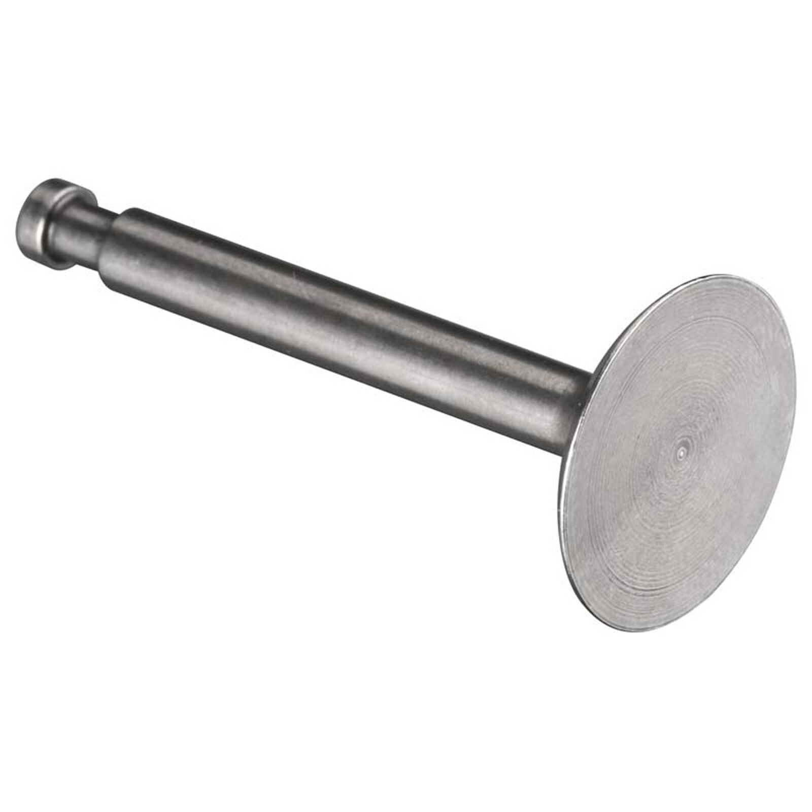 Valve Intake: FS-120 Surpass