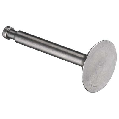 Valve Intake: FS-120 Surpass Valve Intake: FS-120 Surpass