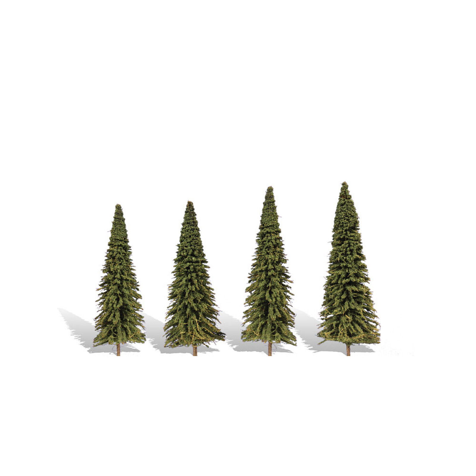 Classics Tree, Forever Green 4-6" (4)