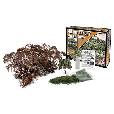 Forest Canopy, Medium Green Forest Canopy, Medium Green