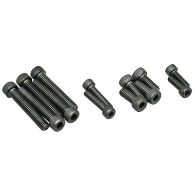 Screw Set (12): FS-91 Surpass Screw Set (12): FS-91 Surpass
