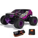 1/10 GORGON 2WD RTR Brushed Monster Truck (Battery & Charger Included)