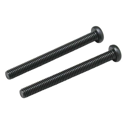Muffler Screws #843 (2) Muffler Screws #843 (2)