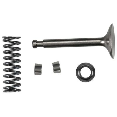 Valve Assembly Intake: FS-120 Surpass Valve Assembly Intake: FS-120 Surpass