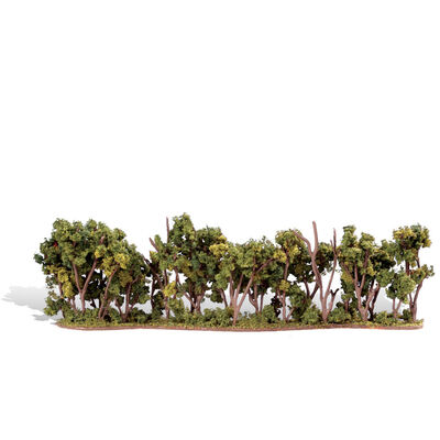Classics Tree, Hedge Row 1-4" (1) Classics Tree, Hedge Row 1-4" (1)