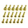Gold Brake Disk Screw Set, 1/4 Promoto-MX