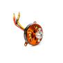 Avian 2813-1750Kv Outrunner Brushless Motor