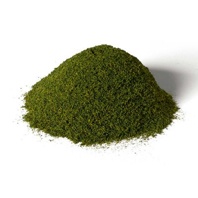 Green Base Layer Green Base Layer