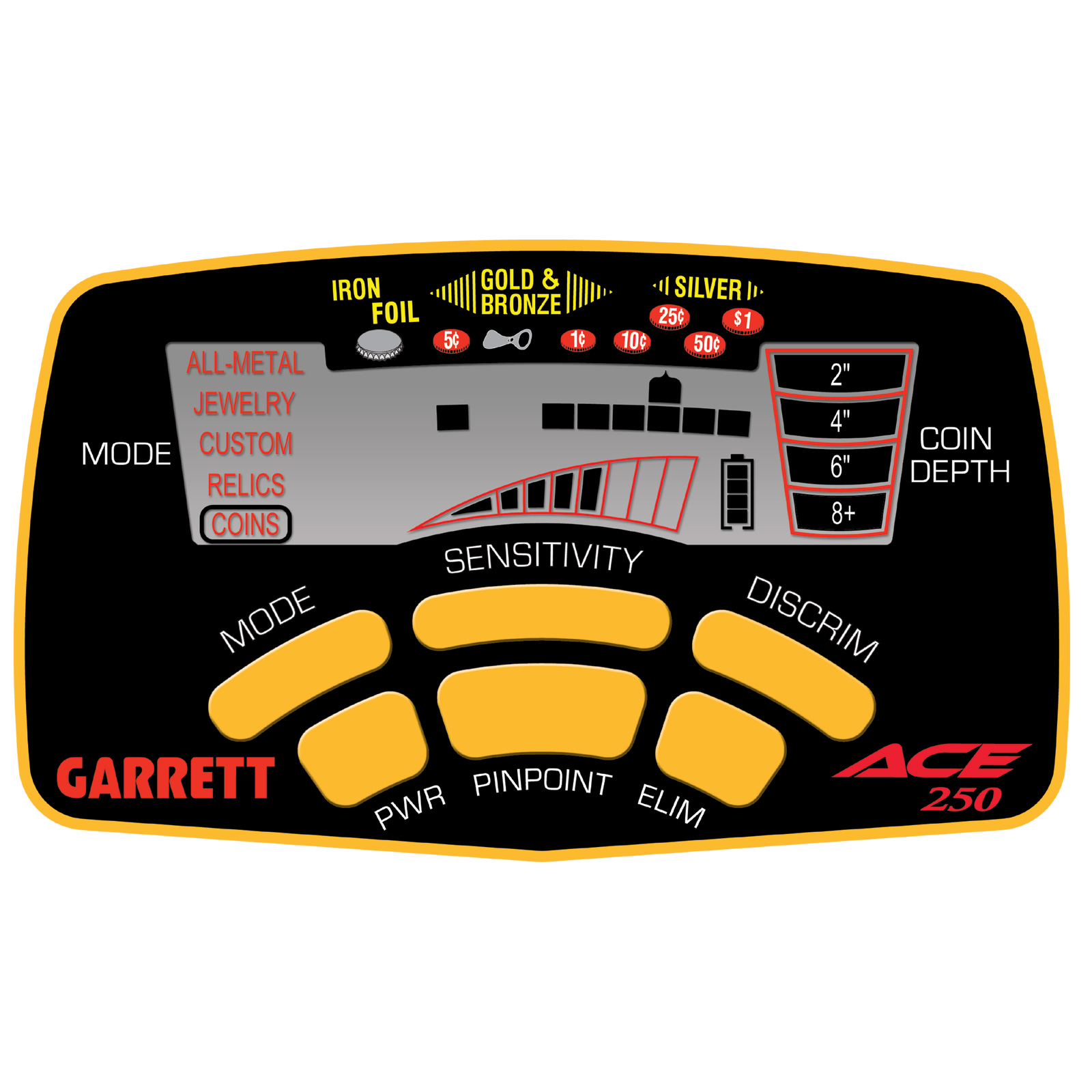 Ace 250 Metal Detector